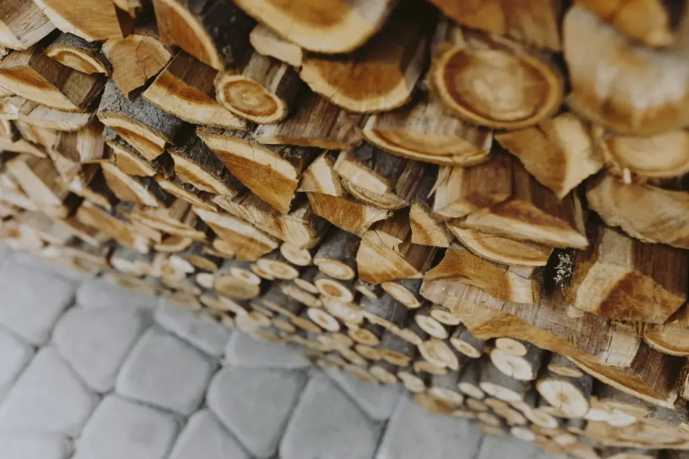 bois de chauffage (1)